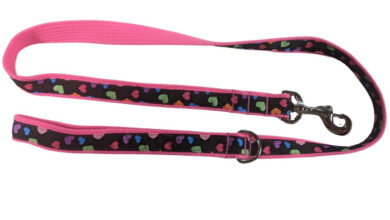 leads for dogs